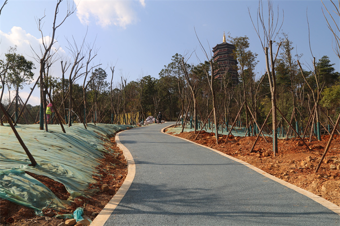 寥廓公园生态治理 (14).JPG