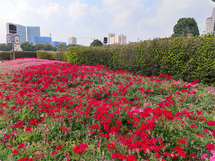 珠江源广场 (3).jpg