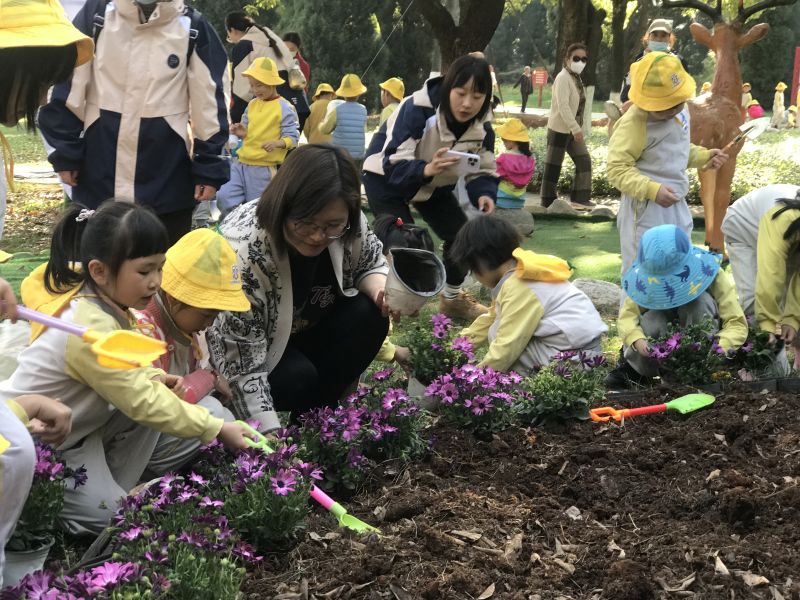 孩子们栽植小苗 (1).jpg