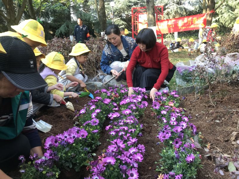 孩子们栽植小苗 (3).jpg