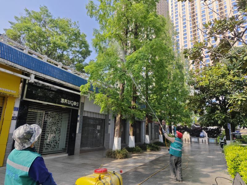 喷洒农药 (4).jpg