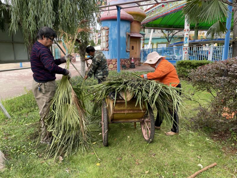 白石江公园6.jpg