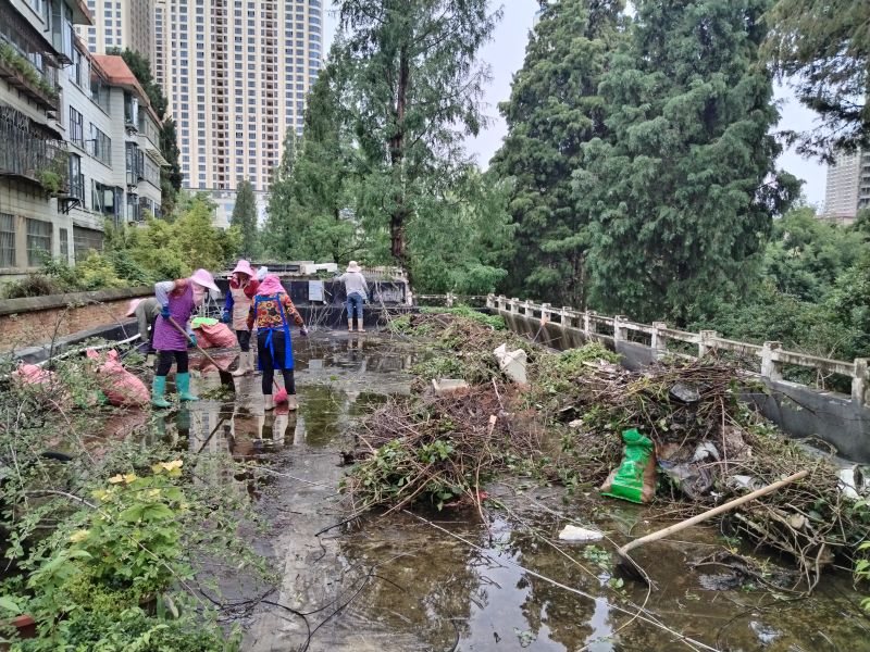 清理枯枝落叶.jpg
