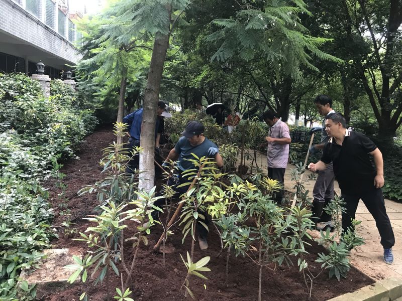 龙潭公园提升景观 (2).jpg