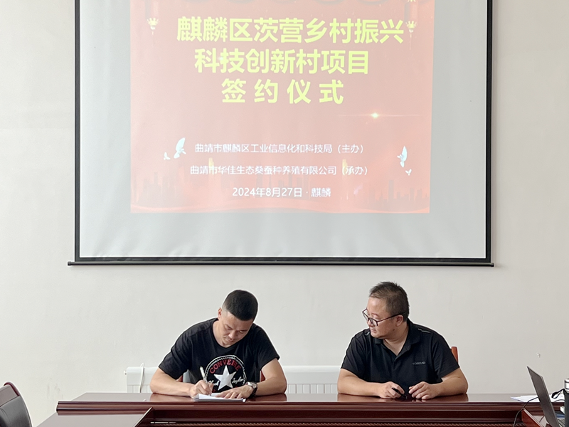 图片2_副本.png