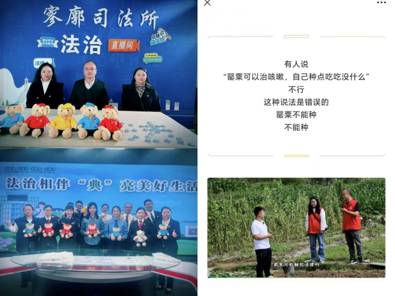 图片1_副本.png
