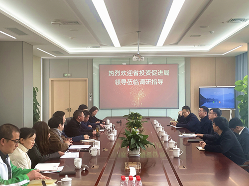 王迅到麒麟区调研图片.jpg