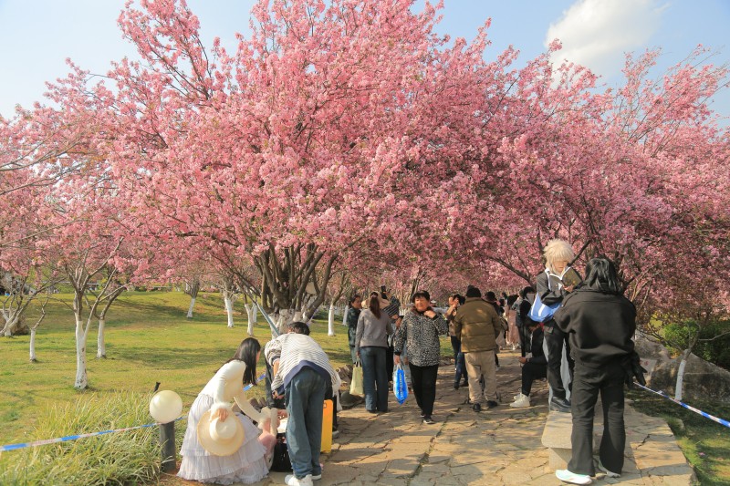 4H5A8152_极光看图.jpg