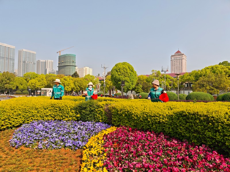 撒肥料 (10).jpg