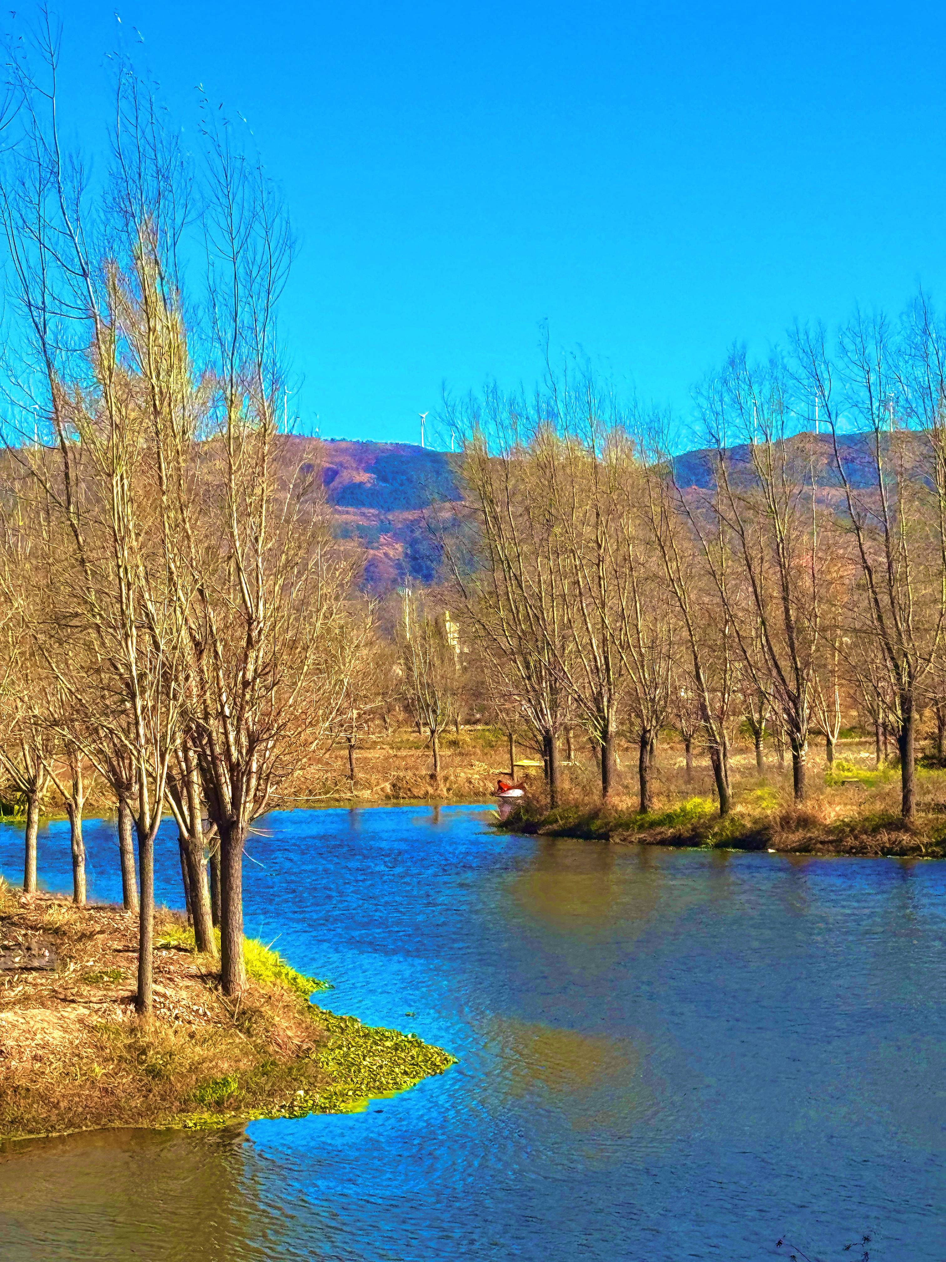桂花田园综合体