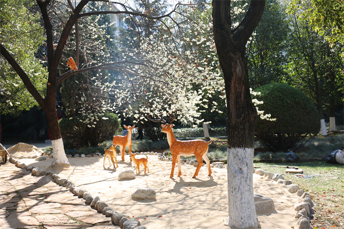 龙潭公园网红景观 (3).JPG