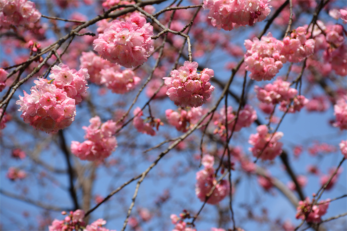 DSC_9480.JPG