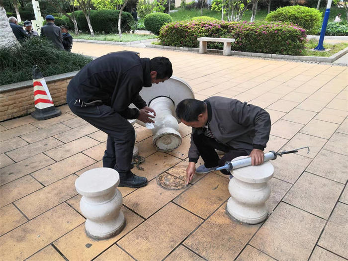 靖宁广场绿化 (13).jpg