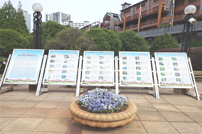 世界野生动植物日宣传 (2).png