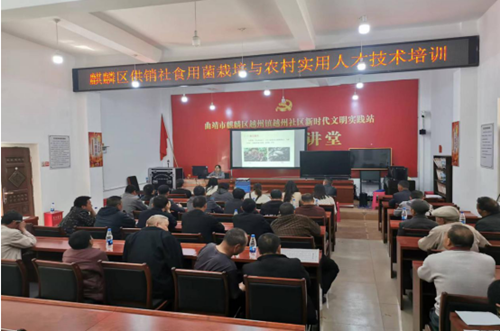 微信图片_20230403153609_副本.png
