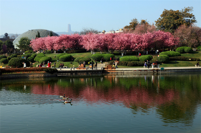 龙潭公园（韩树花摄影）.jpg