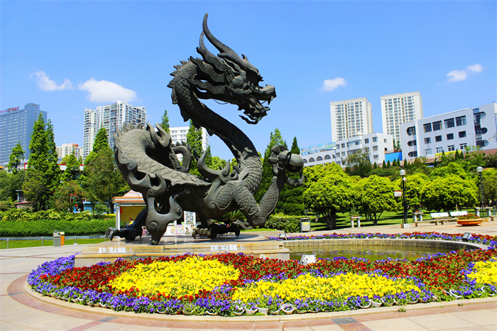 龙图腾.jpg