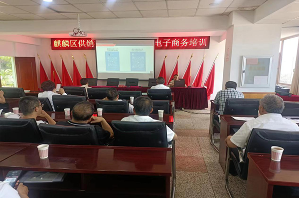 图片2_副本.png