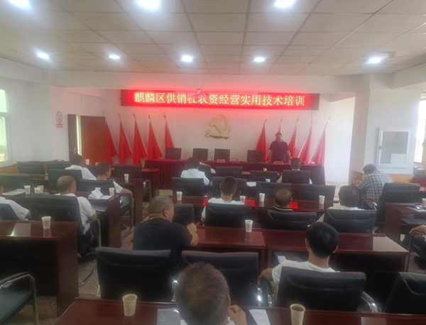 图片4_副本.png