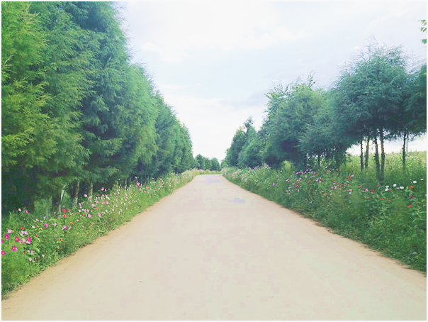 53e02026c821d260358020e49892510_副本.png