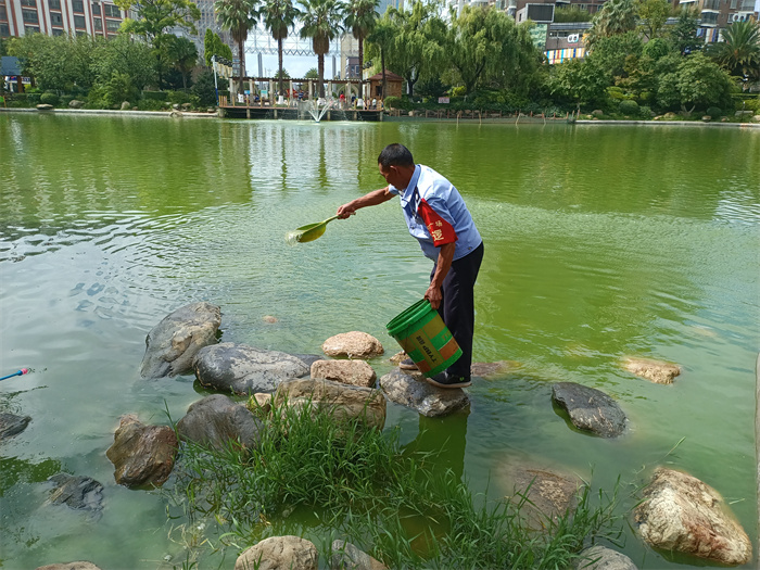 人工湖水体治理 (3).jpg