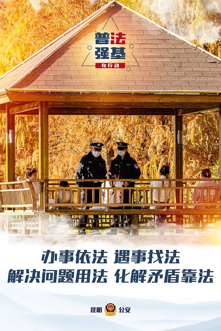 普法强基在行动_办事依法 遇事找法 解决问题用法 化解矛盾靠法.png