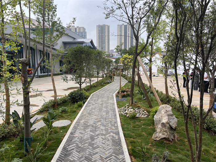 绿美小区建设 (3).jpg