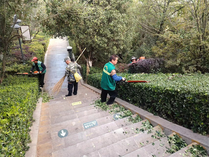 秋季养护 (2).jpg