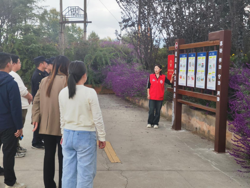 图片3_副本.png