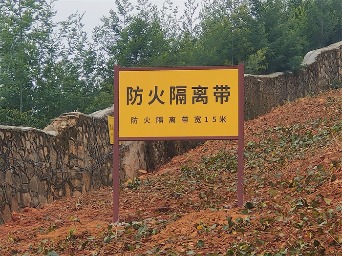 寥廓山增绿补绿 (2).jpg