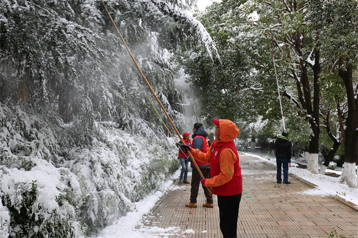 龙潭公园除雪 (2).jpg