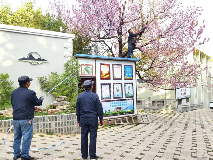 修枝加固 (8).jpg