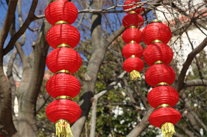 公园广场“靓”起来 (9).jpg