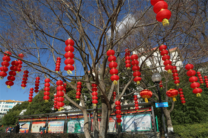 公园广场“靓”起来 (8).jpg