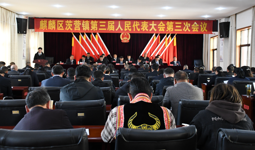 1709197525388700.jpg 4.jpg