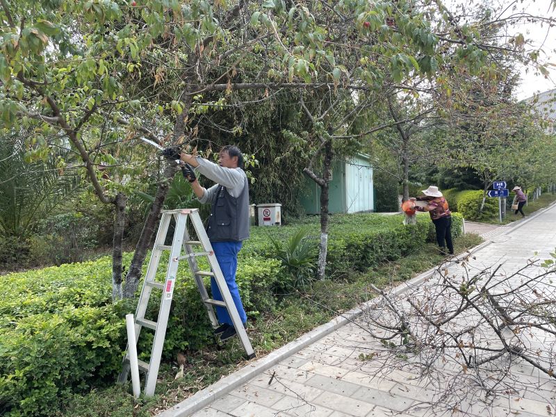 白石江公园4.jpg