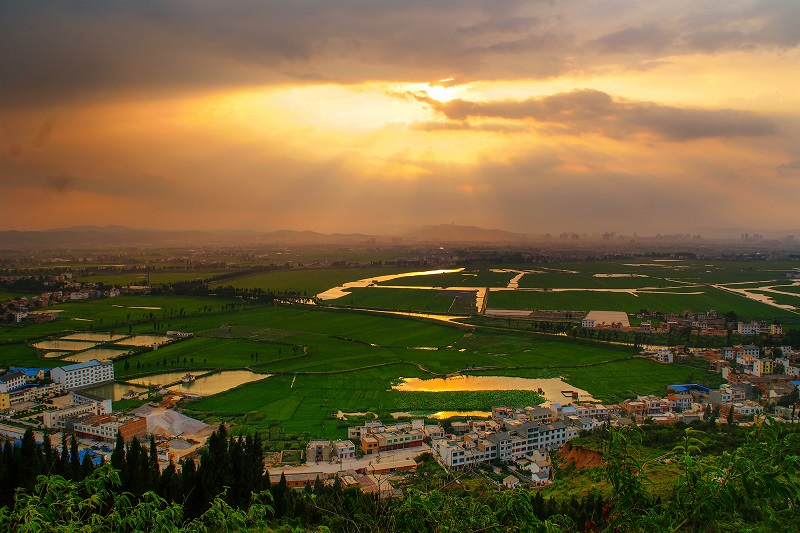 1710119153684049.jpg 1.jpg