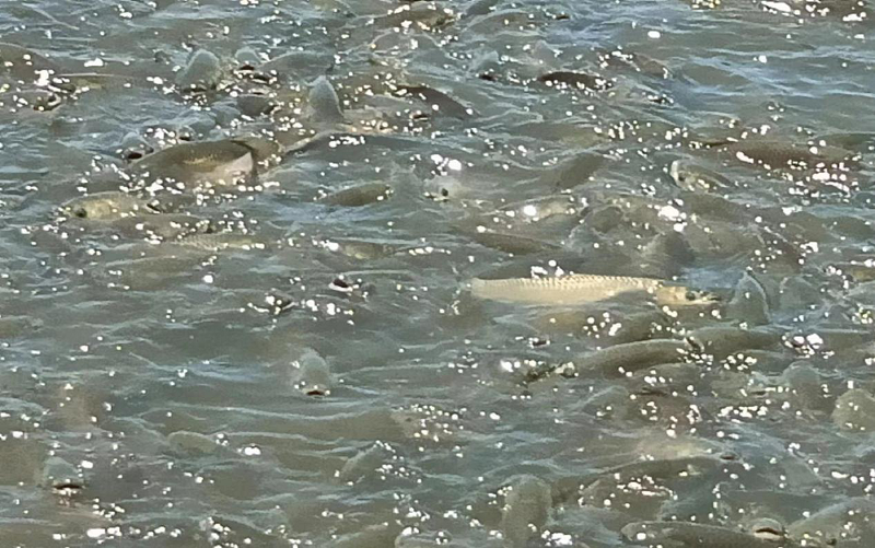 1714977971661110.png 1.png