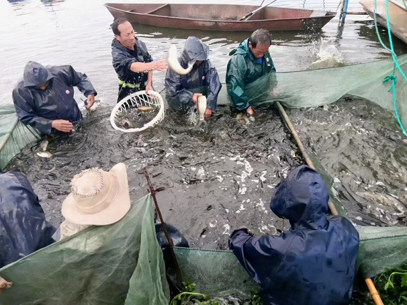 1714977993161855.png 2.png