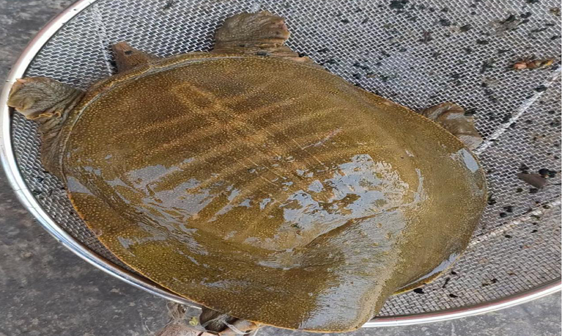 1714978019369990.png 3.png