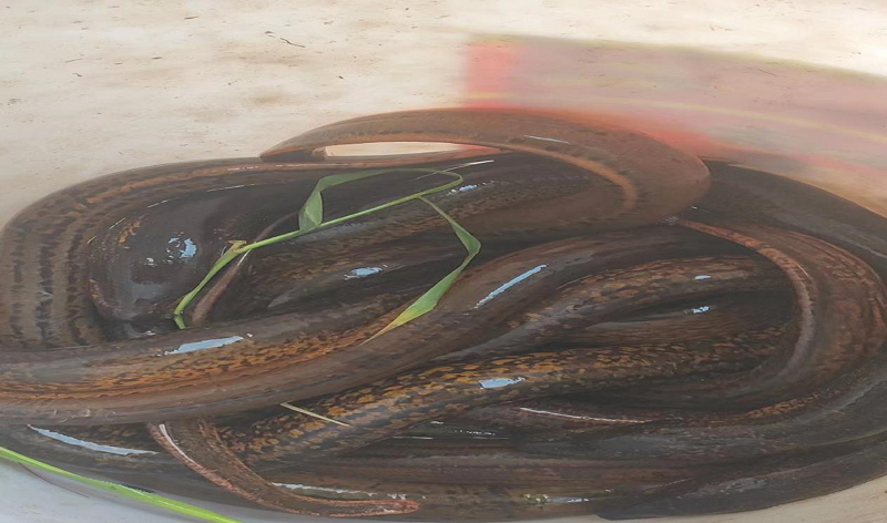 1714978035948097.png 4.png