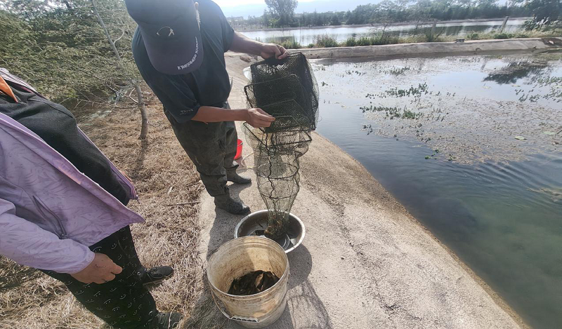 1714978056820415.png 5.png