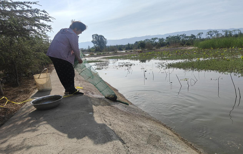 1714978079200920.png 6.png