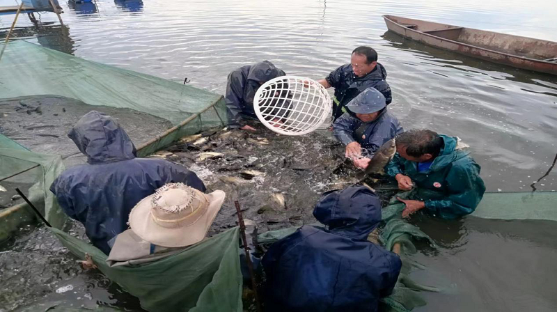 1714978098253598.png 7.png