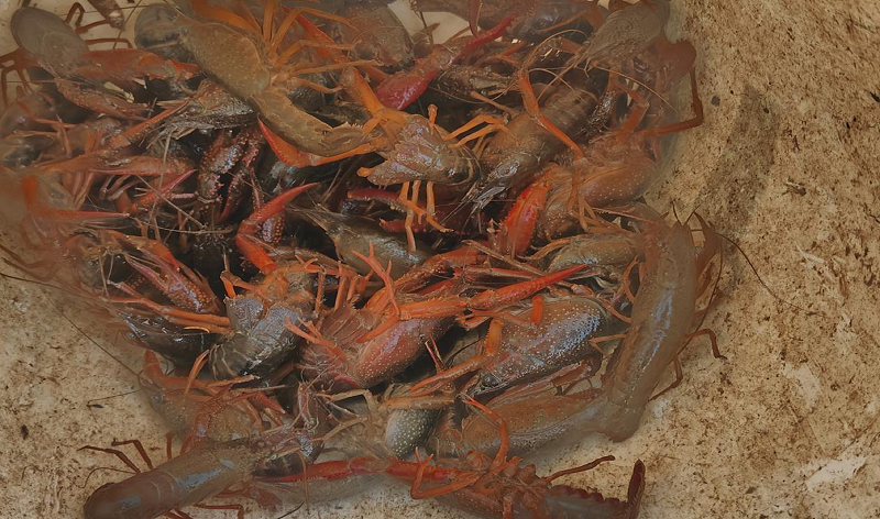 1714978116867899.png 8.png