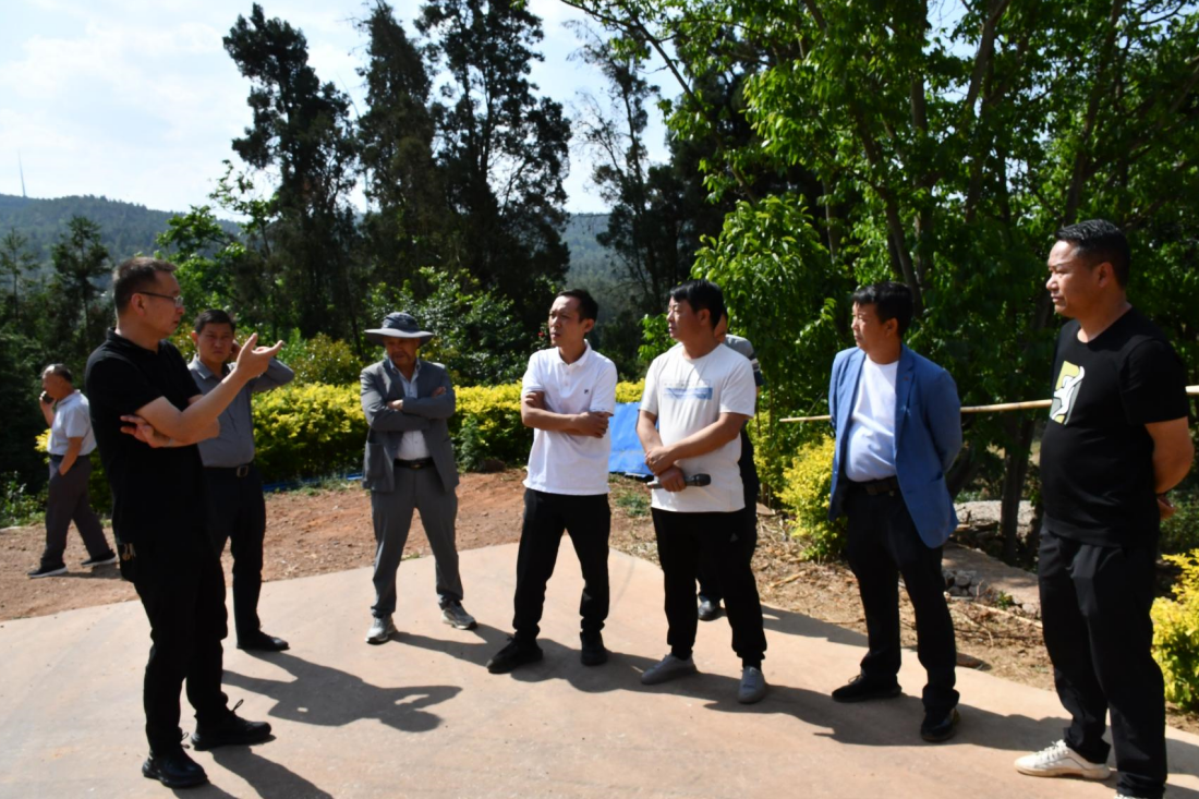 1716518565564886.jpg 1716518553910.jpg