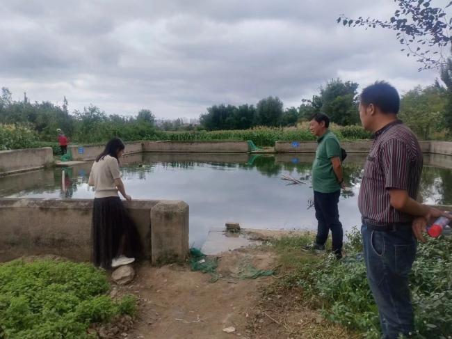 1721803617599218.jpg 1.jpg