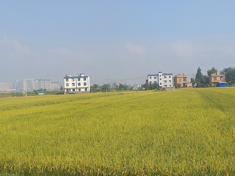 1727664523377796.jpg 1.jpg