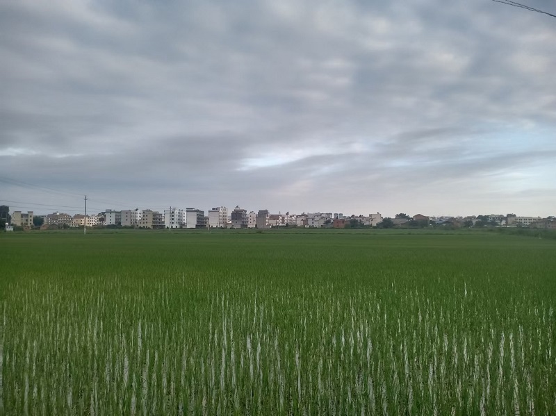 1727664557362635.jpg 2.jpg