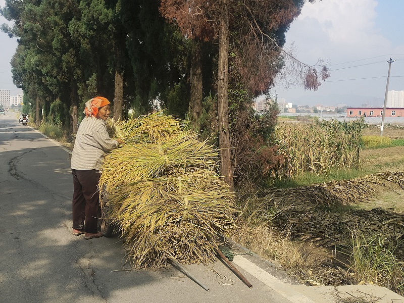 1727664593681971.jpg 3.jpg